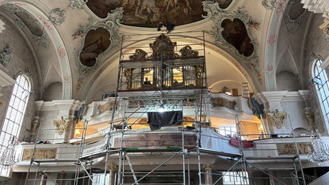 Orgel in Tiengen