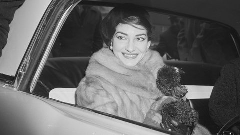 Eine lächelnde Maria Callas im Auto mit ihrem Pudel „Toy“