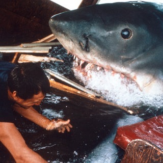 Filmszene: Ein Hai zerlegt ein Boot, auf dem ein Mann ist.