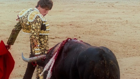 Tardes de soledad - Nachmittage der Einsamkeit