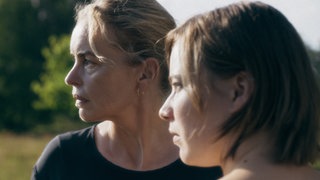 „Zikaden“ von Ina Weisse