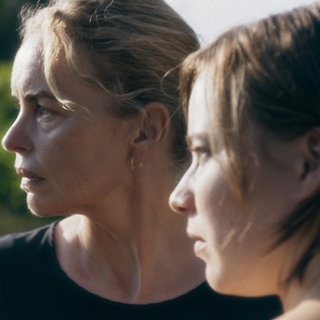 „Zikaden“ von Ina Weisse