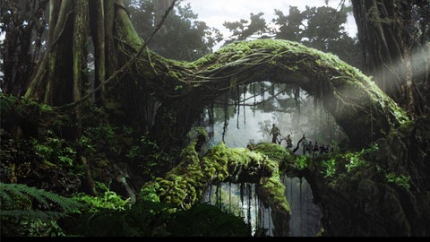 Der Dschungel von Skull Island in King Kong.