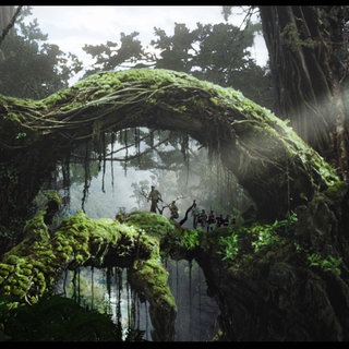 Der Dschungel von Skull Island in King Kong.