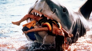 Jaws, aka: Der weiße Hai, USA 1974, Regie: Steven Spielberg, Szenenfoto