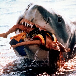 Jaws, aka: Der weiße Hai, USA 1974, Regie: Steven Spielberg, Szenenfoto