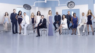 Grey's Anatomy: Der Cast in einer der früheren Staffeln