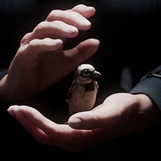 Ein Spatz zwischen zwei Händen. Szene des Kurzfilms "A Sparrow's Song".