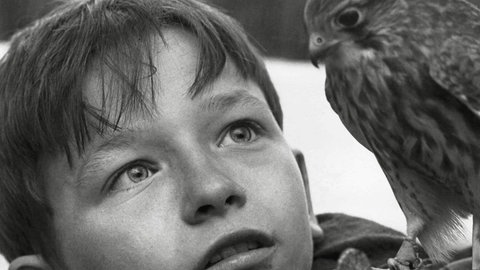 Fimstill aus "Kes"