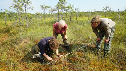 Paläobotanische Untersuchungen in der westsibirischen Taiga