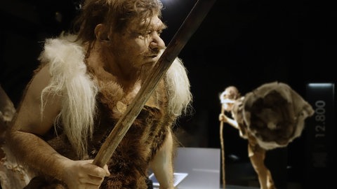 Neandertaler