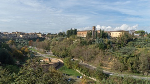 Seminario Vescovile in Norditalien, Tags: Kelten, Grabbeilage, Tierknochen