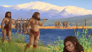 Eine Illustration von Hominiden, die am Ufer des ehemaligen Sees Hula Luciobarbus longiceps, einen großen Karpfenfisch der Familie Cyprinidae, erbeuten und kochen (gezeichnet von Ella Maru).