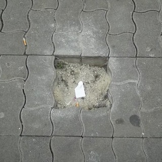 Stolpersteine für jüdische Familie in Kaiserslautern geklaut