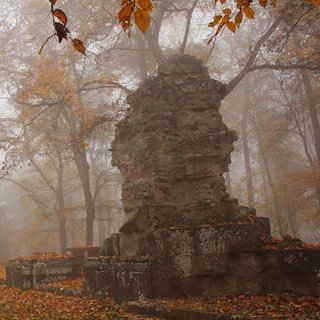 Klosterruine Disibodenberg