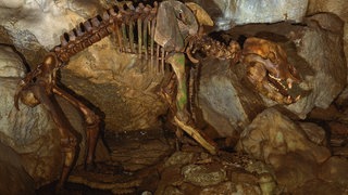 Schwäbische Alb Bärenhöhle