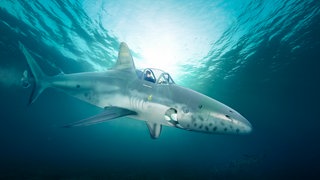 Mini-U-Boot erkundet das Meer, 3D-Illustration