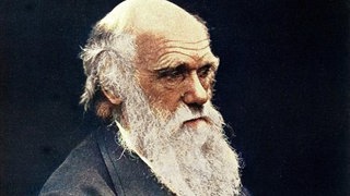 Portrait von Charles Darwin (1809 - 1882)