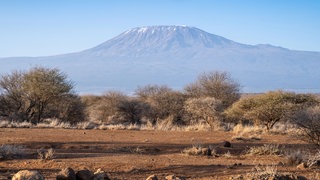 Der Kilimandscharo, gesehen vom Ambroseli-Nationalpark in Kenia