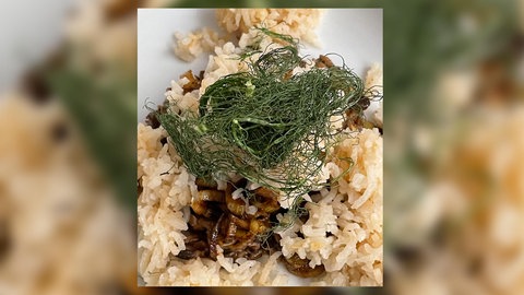 Fenchelreis mit Knuspergestrüpp