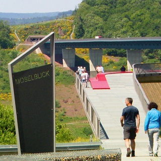 Die Hochmoselbrücke in Bernkastel-Wittlich