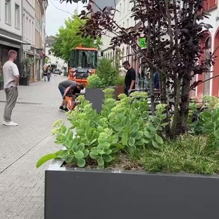 Blumenkübel stehen in der Fußgängerzone von Trier