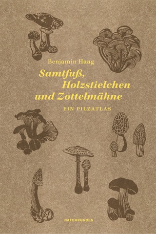Samtfuß, Holzstielchen und Zottelmähne. Ein Pilzatlas