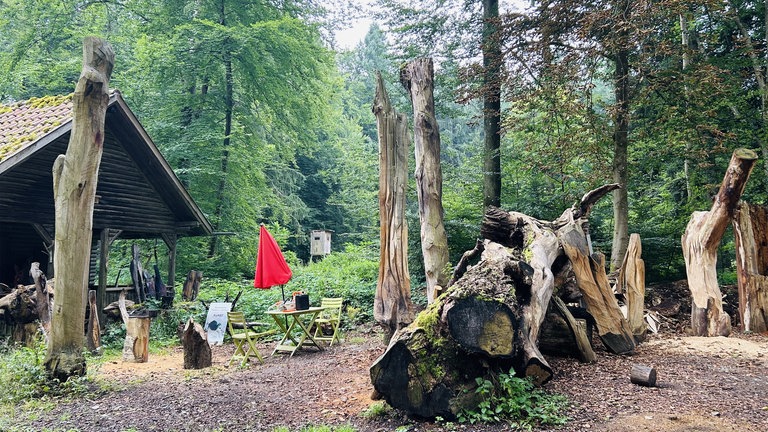 Die Künstlerin Theresia Moosherr aus Bad Schussenried