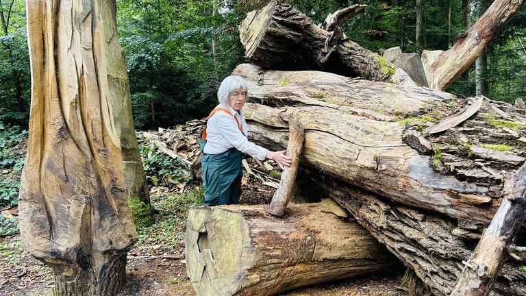Die Künstlerin Theresia Moosherr aus Bad Schussenried