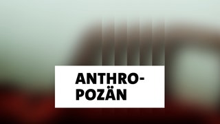 Wort der Woche: Anthropozän