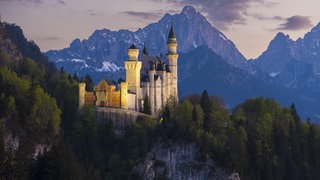 Schloss Neuschwanstein vor Bergkulisse im sanften Abendlicht.