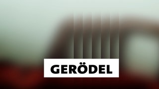 Wort der Woche: Gerödel