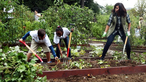 Michaelle Obama und Grundschüler arbeiten im Gemüsegarten des Weißen Hauses