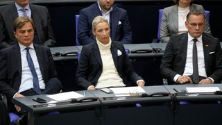 Bernd Baumann, Alice Weidel und Tino Chrupalla bei der Gedenkstunde im Bundestag zum 80. Jahrestag des Endes des Zweiten Weltkrieges.