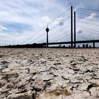 Der Rhein bei Düsseldorf bei Niedrigwasser.