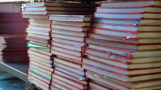 Gestalte Schulbücher in einem Regal