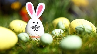 Lustiges Osterei mit Hasenohren "sitzt" im Gras zwischen anderen bunten Eiern.