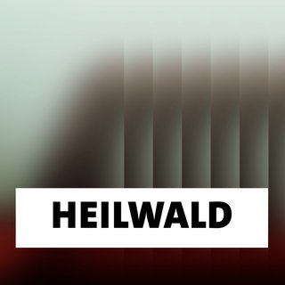 Wort der Woche: Heilwald