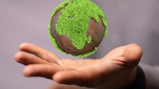 Eine Person, die eine virtuelle Projektion von Ökologie und Umweltschutz präsentiert