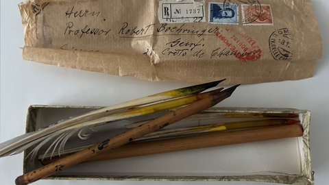 Rohrfedern und Federkiele