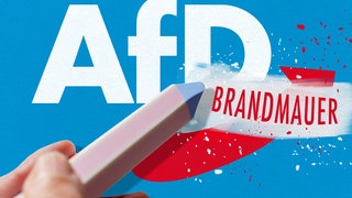 Symbol für politische Grenzen und Debatten um Zusammenarbeit, Auflösung und Machtstrategien in Sachsen-Anhalt und ganz Deutschland