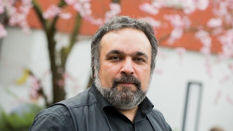 Mehrdad Zaeri, Illustrator und Künstler