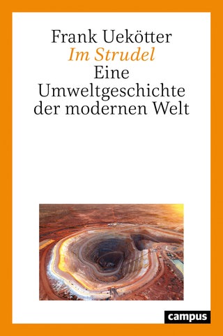 Im Strudel – Eine Umweltgeschichte der modernen Welt