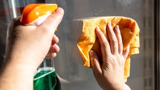 Fenster werden mit einem Tuch und Sprayflasche geputzt