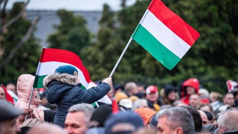 Ein Junge schwenkt seine ungarische Flagge 