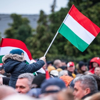 Ein Junge schwenkt seine ungarische Flagge 