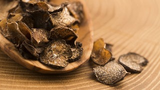 Schwarzer Trüffelpilz