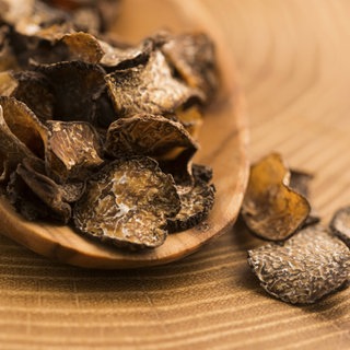 Schwarzer Trüffelpilz