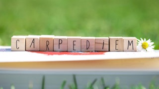 Holzwürfel mit dem Schriftzug „Carpe Diem“ (Nutze den Tag) vor einem Hintergrund aus leuchtend grünem Gras und einer weißen Gänseblümchenblüte