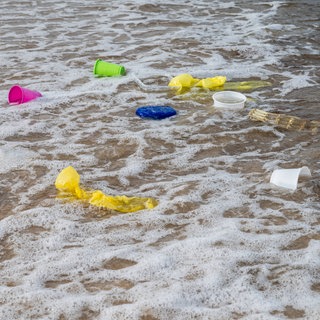 Plastikmüll am Strand im Wasser